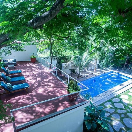 Villas Parota Inn ヌエボ・バジャルタ エクステリア 写真
